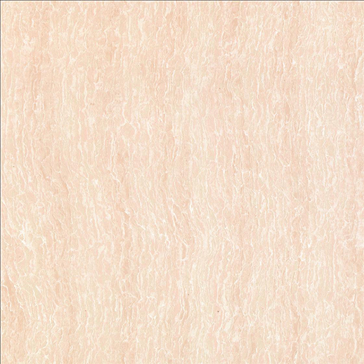 HA60M07/POLISHED/600×600/800×800