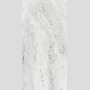 TP126006F-2/POLISHED/600×1200