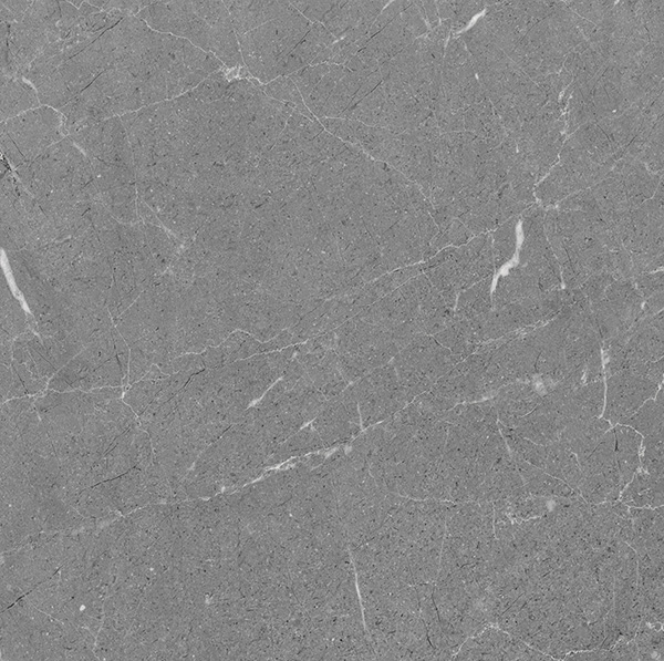 SDX6655P/POLISHED/600×600